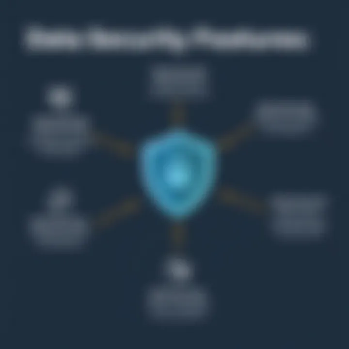 Visual depicting data security measures integrated within BrowserReporter