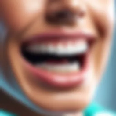 Dental Patient Software Interface Features An overview of dental patient software interface showcasing its features.