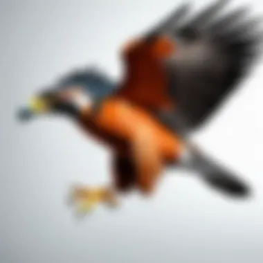 Best Practices for Falcon Endpoint Diagram illustrating best practices for using Falcon Endpoint in organizations.