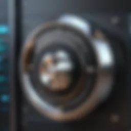 Illustration of a digital vault showcasing password protection