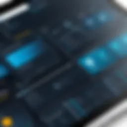 Overview of SAP fleet management interface