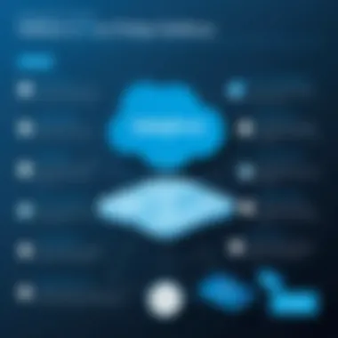 Additional Costs Related to Salesforce Infographic detailing additional costs associated with Salesforce